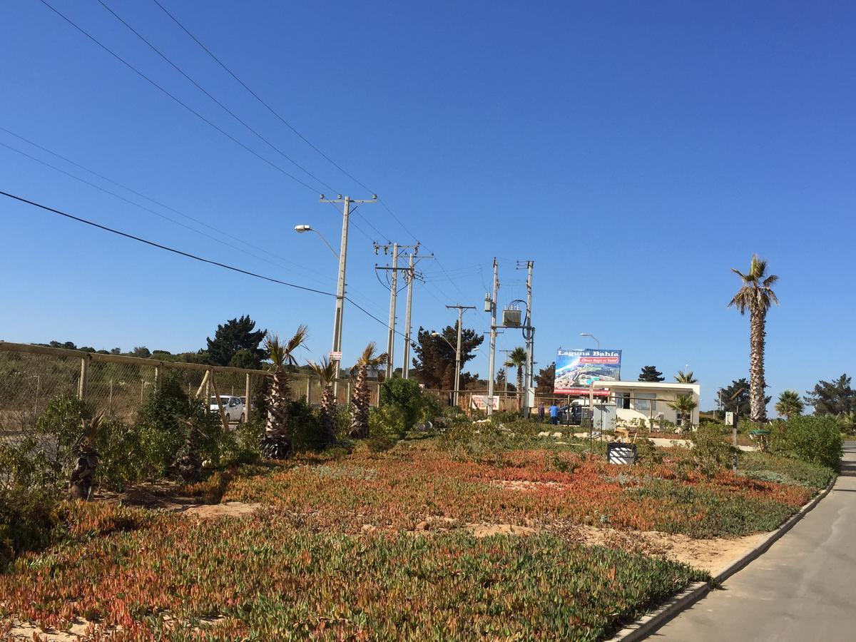 Laguna Bahia 711 Algarrobo Εξωτερικό φωτογραφία